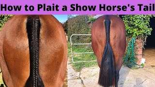 How to Plait a Horses Tail  Show Horse Presentation  How to Braid a Horses Tail [upl. by Eidac]