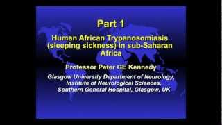 Distinguished Lecture Series Professor Peter KennedyPart 1 [upl. by Leiuqese]