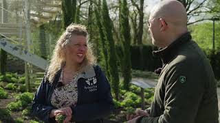 Welke tuinplanten kunnen goed tegen droogte  Tuintip vanuit Kasteeltuinen Arcen [upl. by Ayra]