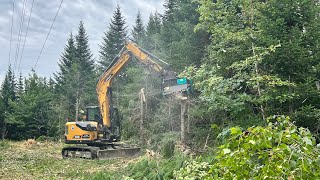 FERNTREE C4 FF40 MULCHER ON SANY SY80U EXCAVATOR THIS THING ROCKS [upl. by Enomor]