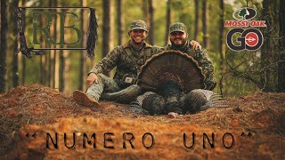 Alabama Turkey Hunting 2023 • quotNUMERO UNOquot • First Turkey Alert [upl. by Reggis72]