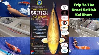 Trip To The Great British koi Show 2024 Koi Appreciation [upl. by Gregorius]