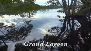 Cuyabeno national parkAmazon jungleEcuadorAmazingmystical placeFull HD [upl. by Nnylhsa]