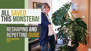 Monstera Guide How to Repot Houseplants [upl. by Manuel]