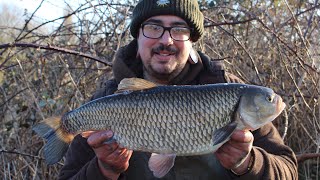 CHUB FISHING  trotting for big Dorset stour chub [upl. by Reviere]