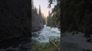 Deschutes River Trail oregon hiking travel adventure scenery nature river asmr [upl. by Lucias]