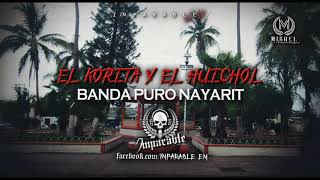 Banda Puro Nayarit  El Korita Y El Huichol [upl. by Eiramac]