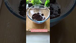 Eggless chocolate Pancakes 🥞 chocolate pancake dessert youtube [upl. by Annaitat]