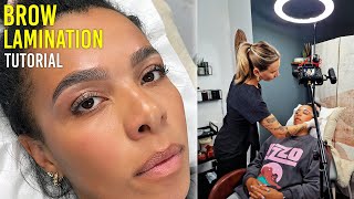 How To Elleebana Brow Lamination Tutorial For Dark Brows [upl. by Nnitsuj]