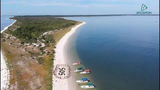 Restinga da Marambaia  Ação Sócio Ambiental [upl. by Salvay933]