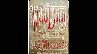 WILD DAISY valsette G Millward 1887 [upl. by Madson477]