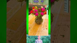 Jardiins floridos new best ideas garden gardenlife flowers plants reels tiktok tree tips [upl. by Dopp]