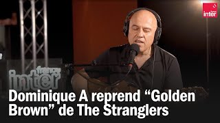 Dominique A reprend quotGolden Brownquot de The Stranglers [upl. by Craven]