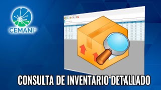 Consulta de Inventario Detallado [upl. by Buseck]