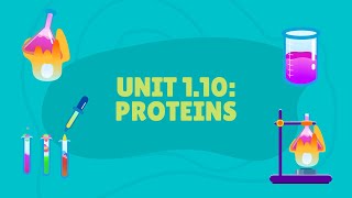 Unit 110 Proteins [upl. by Aicilyt]