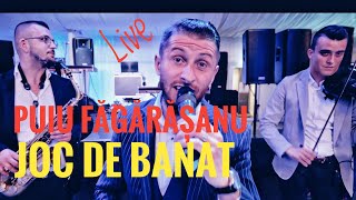 Puiu Fagarasanu❎Joc de Banat💯Live 2024 [upl. by Renferd]