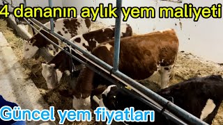 4 DANANIN GÜNLÜK YEM MALİYETİ  GÜNCEL YEM FİYATLARI  GÜNLÜK HAYVAN BAKIMICengizÇaylı​⁠ [upl. by Randolph65]