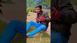 बजता बड़ी सुपर Gori ho duno buffar Singer golua jagwa shorts Pramod premi song [upl. by Yentruoc]