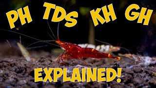 Shrimp Water Parameters Explained pH GH KH and TDS [upl. by Elay959]