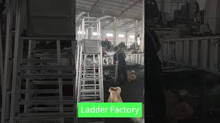 Do you want to see how to make ladder step ladder aluminum ladder ladder manufacture [upl. by Marola]