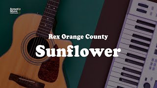 Rex Orange County  Sunflower Acoustic Guitar Karaoke and Lyric [upl. by Nywra]