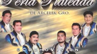 Super Banda Perla Plateada en la Expo Arcelia 2015  El Chaparrito  Corrido del Pony [upl. by Hueston59]