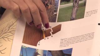 Gardening Pruning  How to Prune Pear Trees [upl. by Kelcie]