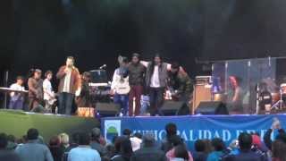 Los Hermanos Calisaya Cantan En La Fiesta Del Lago 2014 [upl. by Ennaed738]