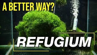 Today’s Refugium Techniques 10 Questions to Guarantee a Controllable Clean High Performance Fuge [upl. by Zetnahs]