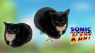 SRB2Kart online Maxwell The Cat part 49 [upl. by Asilef]