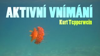 Aktivní vnímání ♡ Kurt Tepperwein⭐️ [upl. by Britt]