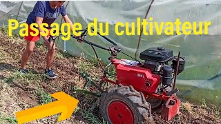 PASSAGE DU CULTIVATEUR motoculteur Bouyer 388L [upl. by Madden]