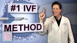 ICSI  Is it your key to IVF success [upl. by Edouard]