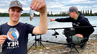 ZANDER Ansitz mit Köderfisch auf Grund  Deadbait Angeln im Sommer am See [upl. by Emmanuel]