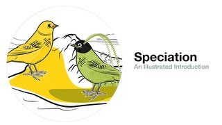 Speciation An Illustrated Introduction [upl. by Ybeloc]