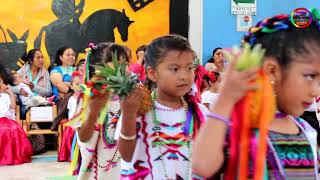 Festival Día de las Madres Bailable Flor de Piña Oax MX [upl. by Orips]