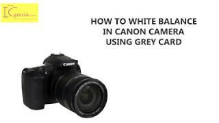 How To Use Grey Card In Canon Camera [upl. by Oliric]