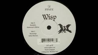 Wisp  D2 Summoners Hollow vinyl rip [upl. by Amilb]