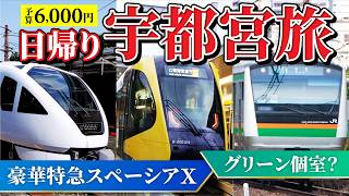 【予算6000円】豪華特急で宇都宮に餃子を食べに行く！夜のライトレールでガチ秘境駅へ [upl. by Eira]