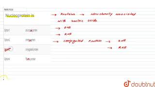 Nucleoprotein is  CLASS 11  BIOMOLECULES  BIOLOGY  Doubtnut [upl. by Llennej]