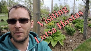 Trip to Lotsa Hostas  Garden Center [upl. by Eniamrahc]