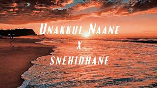 Unakkul Naane x Snehidhane Reprised version  ft Varun Sunil [upl. by Gough293]