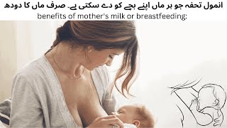 incredible benefits of mothers milk milk brestfeeding mothermilk foryou health all fyp [upl. by Yramliw]