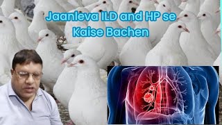 Jaanleva Interstitial Lung Disease ILD and Hypersensitive Pneumonitis se Kaise Bachen pigeon HP [upl. by Karalee915]