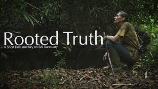 Rooted Truth  A short documentary on SAI sanctuary [upl. by Pendleton]