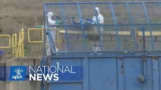 ‘A place that nobody wants to be’ Police search Saskatoon landfill for missing woman  APTN News [upl. by Emilee]