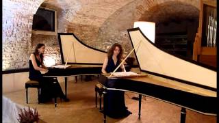 Bizzi Studio  The great little harpsichord [upl. by Steffin]