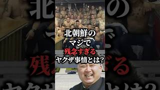 北朝鮮に実在するヤクザの実情が残念すぎる【金正恩】 [upl. by Kela]