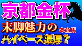 【京都金杯2024最終考察】ドーブネとトゥードジボンは軽視🔥 [upl. by Fern]