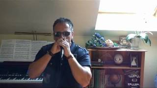 Tougher Than The Rest  Bruce Springsteen Full harmonica cover [upl. by Prosser220]